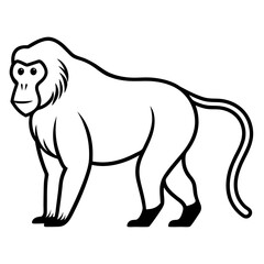 Baboon Silhouette  vector illustration
