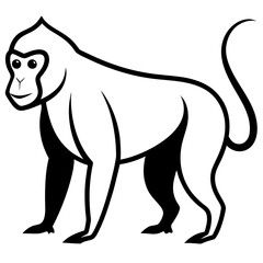Baboon Silhouette  vector illustration