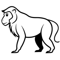 Baboon Silhouette  vector illustration