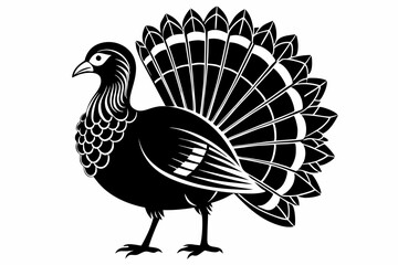 Fototapeta premium turkey silhouette vector illustration