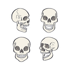 Hand drawn sketchy human skulls set isolated on white background. Doodle skeleton head tattoo design
