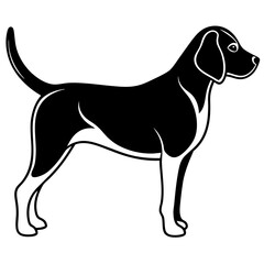 Beagle Silhouette  vector illustration