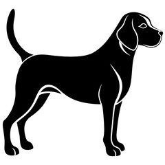 Beagle Silhouette  vector illustration