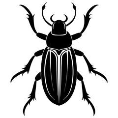 Beetle Silhouette  vector illustration