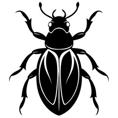Beetle Silhouette  vector illustration