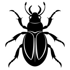 Beetle Silhouette  vector illustration