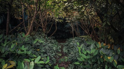 Fototapeta premium Wooden pathway through lush green tropical jungle with sunlight, serene nature walk concept, Pathway through a lush forest representing the way forward.