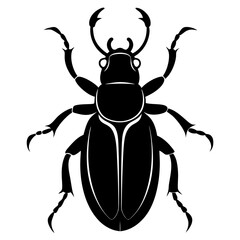 Beetle Silhouette  vector illustration