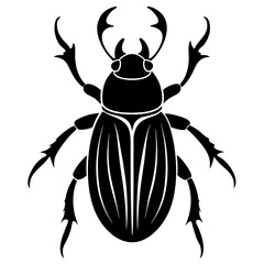 Beetle Silhouette  vector illustration