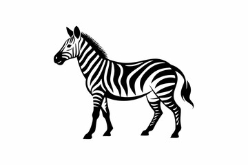 zebra vector silhouette © Shipon