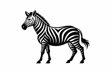 zebra vector silhouette © Shipon