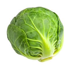 Fototapeta premium Brussels sprouts isolated against a white background