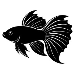Betta Fish Silhouette  vector illustration