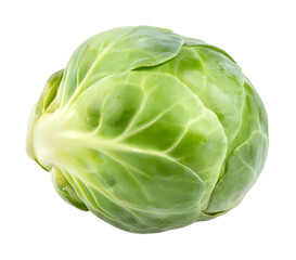 Obraz premium Brussels sprouts isolated against a white background