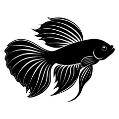 Betta Fish Silhouette  vector illustration