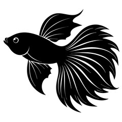 Betta Fish Silhouette  vector illustration
