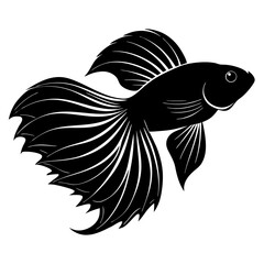 Betta Fish Silhouette  vector illustration