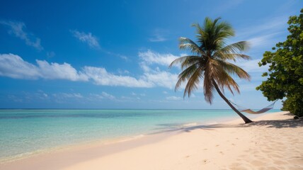 Naklejka premium Luxurious tropical landscape. White sand with palm trees and azure sea. A heavenly place to relax. Beautiful exotic summer beach background for design.