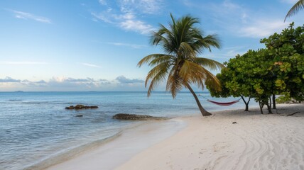 Fototapeta premium Luxurious tropical landscape. White sand with palm trees and azure sea. A heavenly place to relax. Beautiful exotic summer beach background for design.