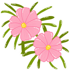 hand drawn pink daisy flower illustration. pink flowers vector for print, stickers, element, icon, etc.