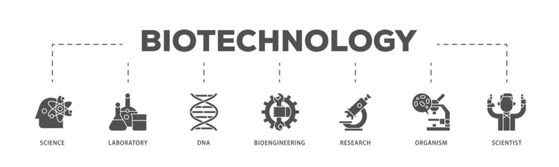 Biotechnology infographic icon flow process which consists of scientist, bioengineering, organism, research, dna, laboratory, science icon live stroke and easy to edit .