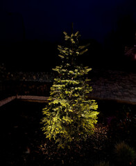 decorating whole houses and in residential neighborhoods is a race for the most yards of LED...