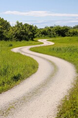 Obraz premium Metaphorical imagery of a winding road representing life's unpredictable journey.