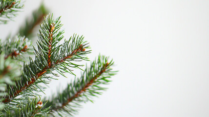 A festive Christmas arrangement showcasing pine branches, golden and silver ornaments, and a large pine cone against a textured light grey and khaki-toned background. The composition exudes elegance