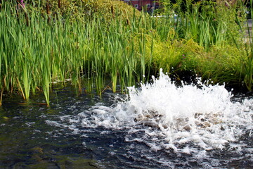The fountain is like a small lake with splashes of water.