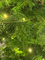 christmas tree decoration