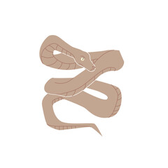 Snake with patterns coiled in a wavy shape, simplistic cartoon style, displayed on a white background.