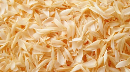Obraz premium Textured background of dry rice husks in natural beige tones for organic and agricultural concepts
