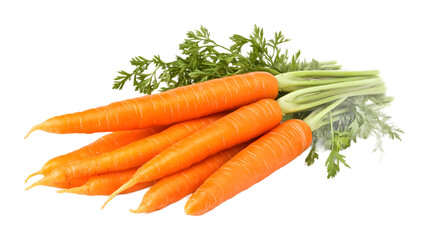 bundle of bright orange carrots with tops isolated on white background 