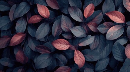 Dark foliage background with natural leaves showcasing vibrant hues of red and green for a calming and organic aesthetic