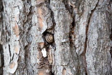 A vibrant bunch of red flowers is flourishing beautifully in the grass