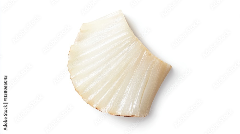 Poster fresh onion slice with translucent layers on a clean white background creating a subtle shadow enhan