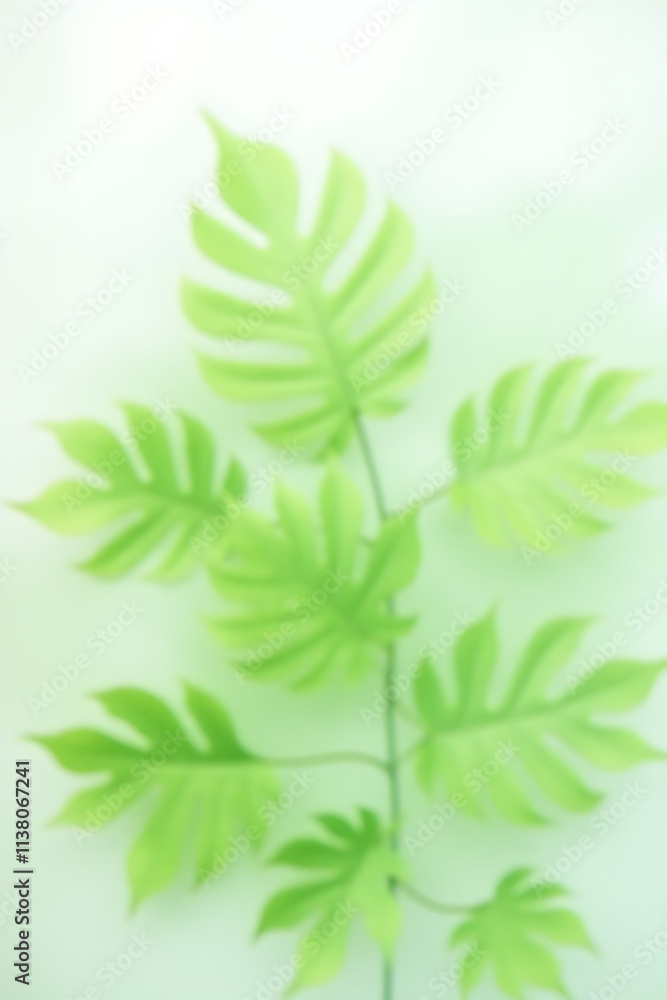 Poster beautiful monstera leaves in selective focus on a white transparent background create a unique and s