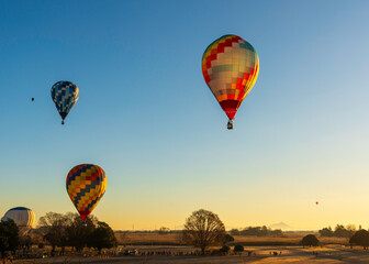 渡良瀬熱気球レース