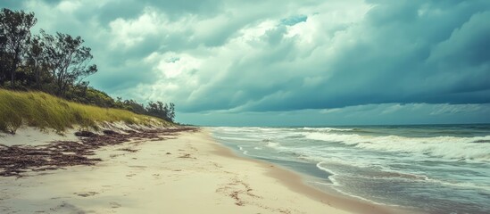 Obraz premium tranquil beach scene with stormy clouds and gentle waves on sandy shore surrounded by greenery and trees