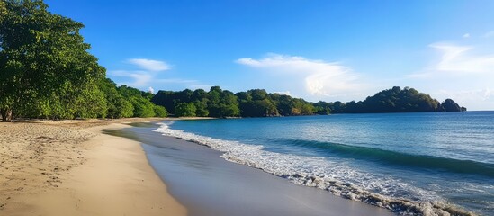 Scenic tropical beach with clear waters and lush greenery ideal for relaxation and vacation enjoyment