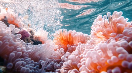 Vibrant coral reef underwater scene with bubbles showcasing colorful marine life and serene aquatic environment