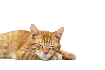 A relaxed orange tabby kitten peacefully sleeps with closed eyes isolated against a bright transparent background for pet concepts.