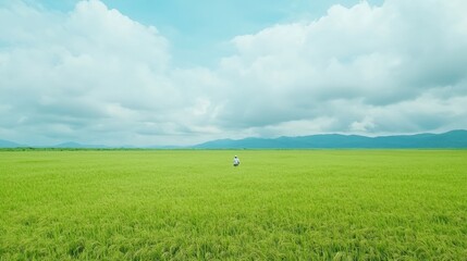 Obraz premium Solitude in Verdant Fields A Serene Scene of Vast Greenery and Monsoon Skies