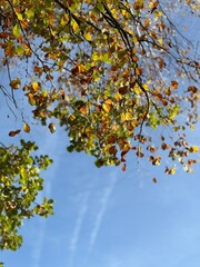 Kirchsee bei Sachsenkam