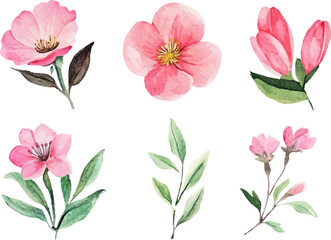 set of pink flowers