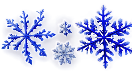 Beautiful transparent snowflakes in various sizes on a clear background showcasing intricate designs and shapes for winter decoration and themes