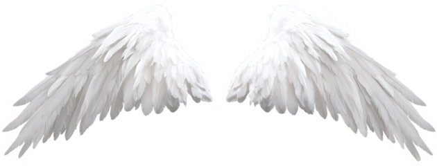 angle wings transparent background