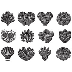 Barnacle Silhouette Vector Illustration, Solid White Background.