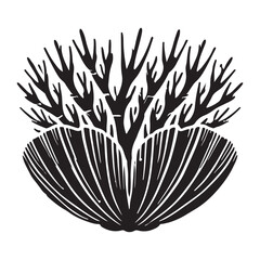 Barnacle Silhouette Vector Illustration, Solid White Background.