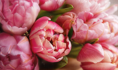 Vibrant pink bouquet of beautiful tulips.